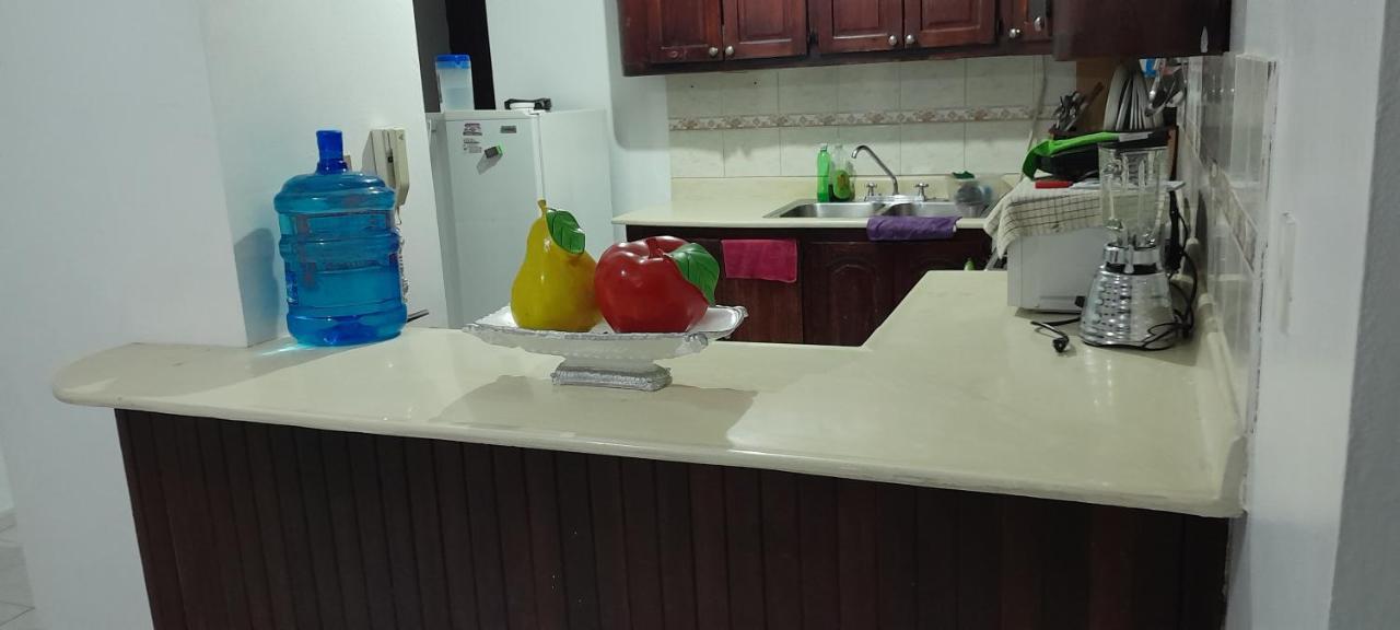 Amplio Y Acogedor Apartamento Santiago De Los Caballeros Esterno foto